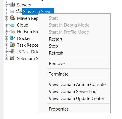 Servidor GlassFish en ejecución