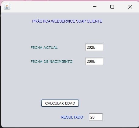 Cliente SOAP funcionando